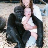 Man Introduces His Wife To Gorillas He Raised And Things Didn’t Go As Planned