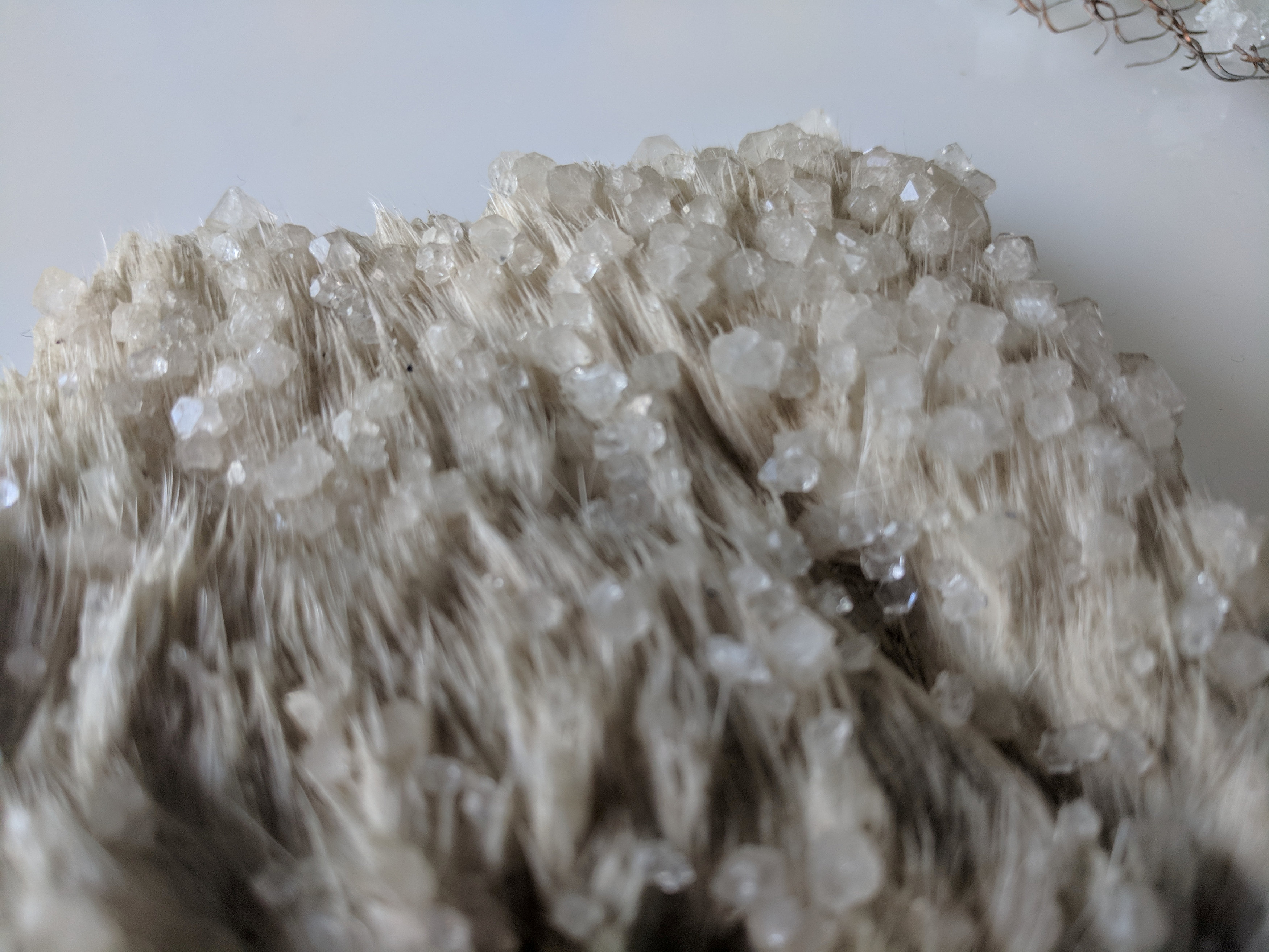 tagreuters.com2018binary_LYNXMPEE5J1CS-FILEDIMAGE