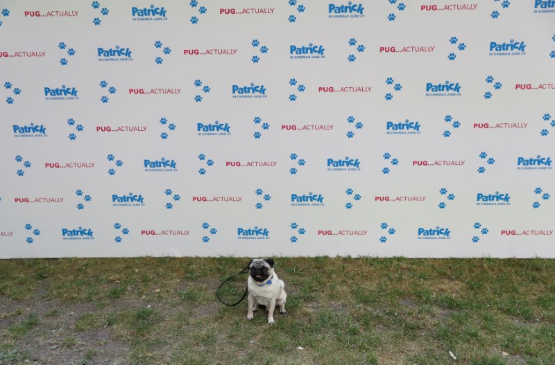 tagreuters.com2018binary_LYNXMPEE5Q2EG-BASEIMAGE