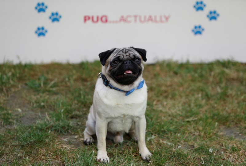 tagreuters.com2018binary_LYNXMPEE5Q2EI-BASEIMAGE