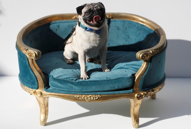 tagreuters.com2018binary_LYNXMPEE5Q2EQ-BASEIMAGE