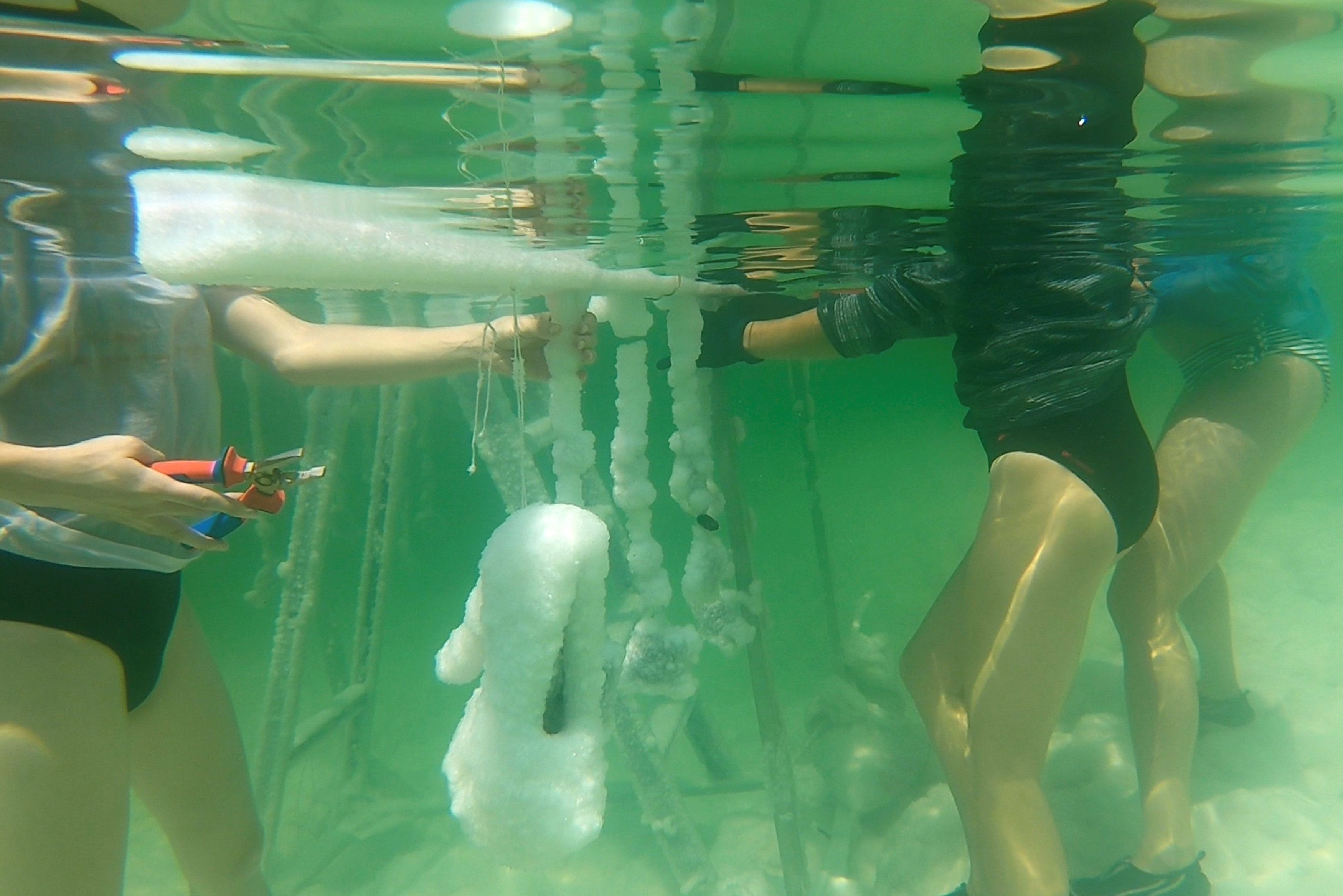 tagreuters.com2018binary_LYNXNPEE840KM-FILEDIMAGE