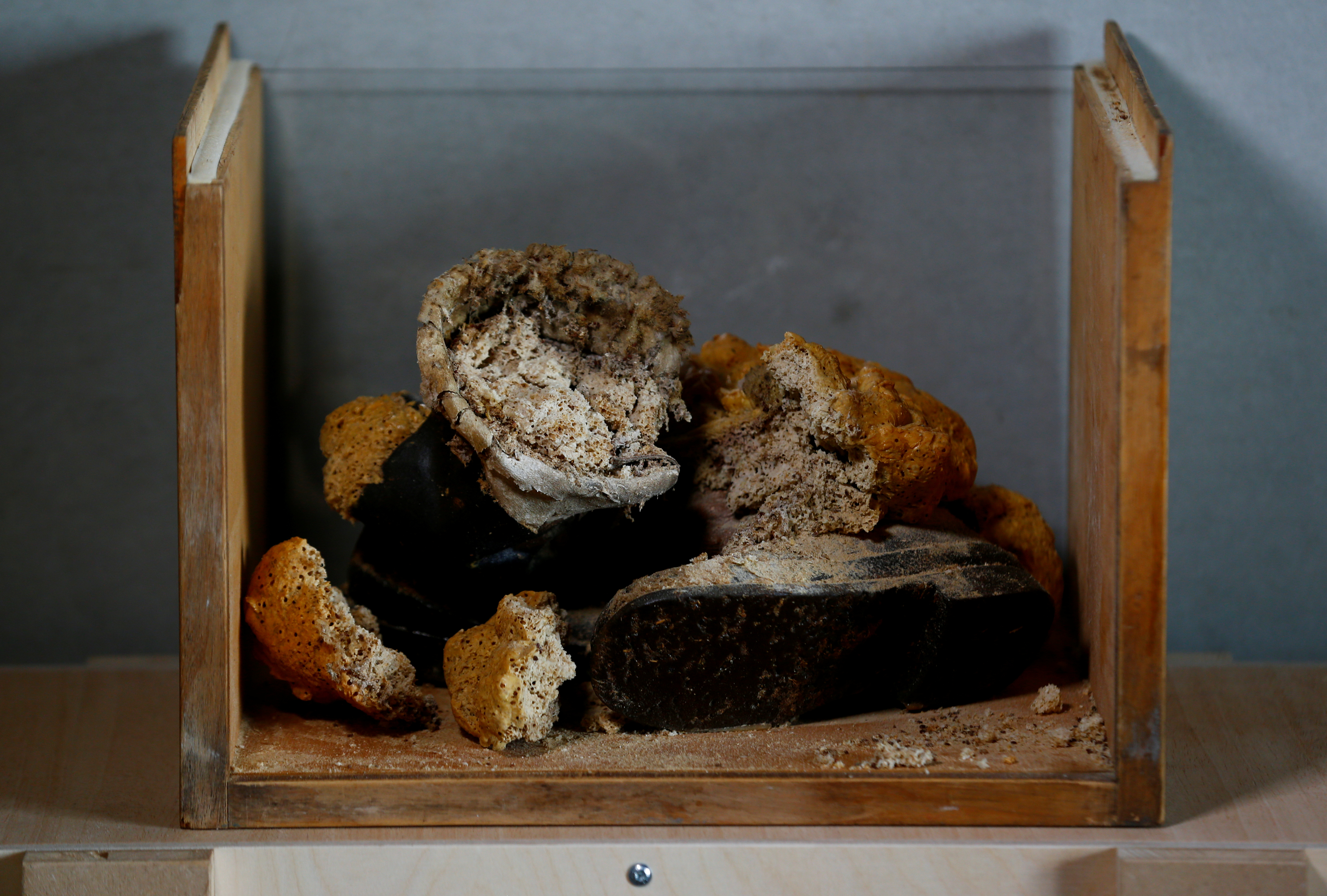 tagreuters.com2018binary_LYNXNPEE9G1LC-FILEDIMAGE