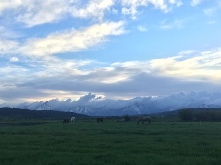 tagreuters.com2018binary_MT1VRTP0JW4RLX-VIEWIMAGE