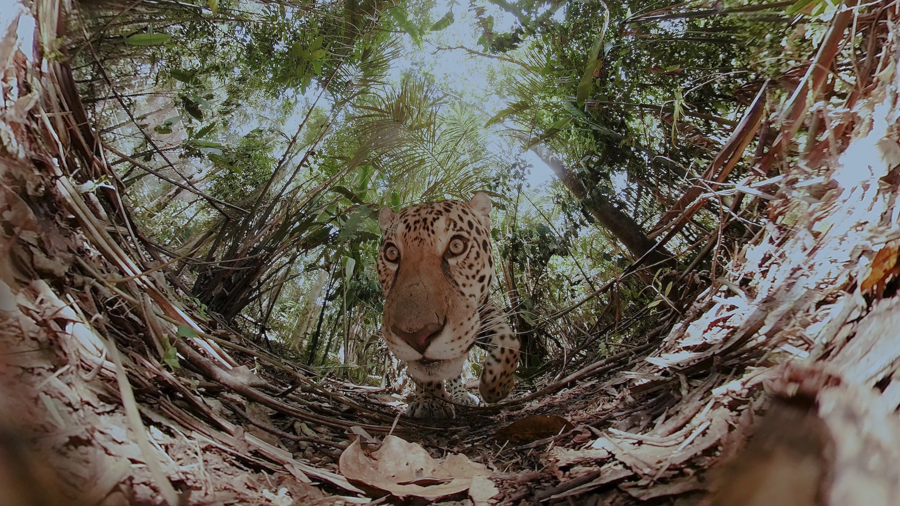 tagreuters.com2018binary_MT1VRTP0JW4WKP-FILEDIMAGE