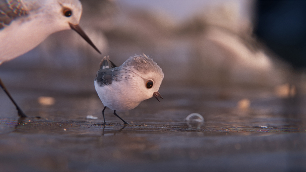 tagreuters.com2018binary_MT1VRTP0JW555K-FILEDIMAGE