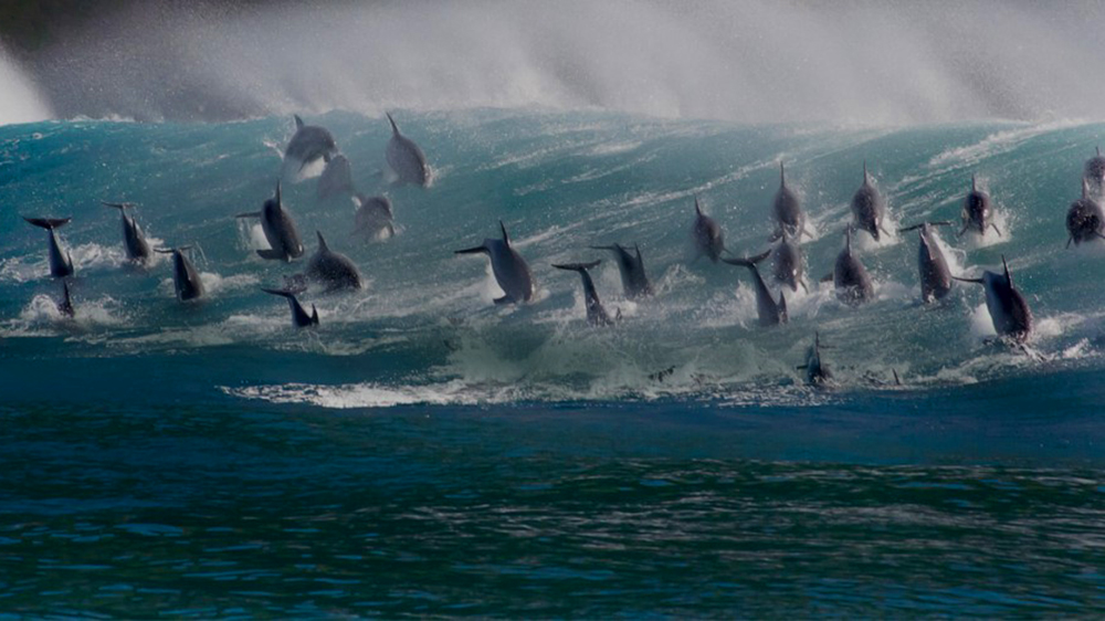 tagreuters.com2018binary_MT1VRTP0JW5A9J-FILEDIMAGE