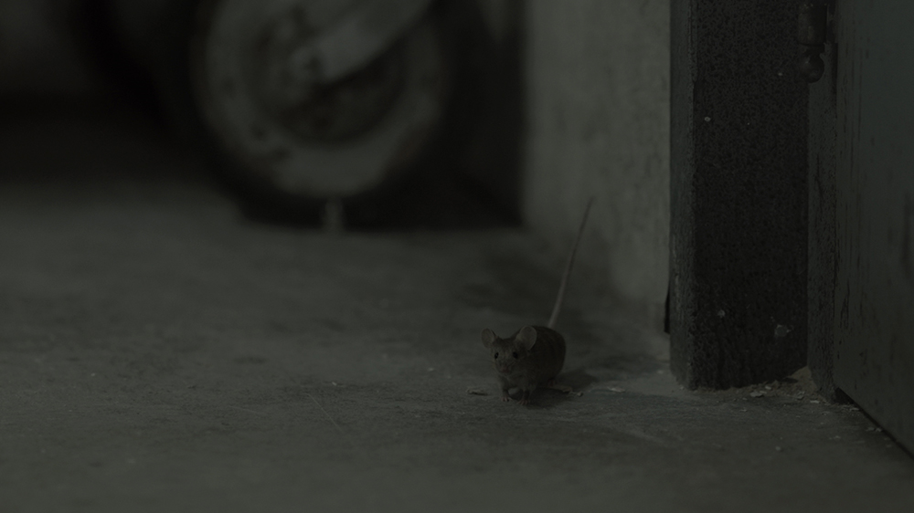 tagreuters.com2018binary_MT1VRTP0JW5YPH-FILEDIMAGE