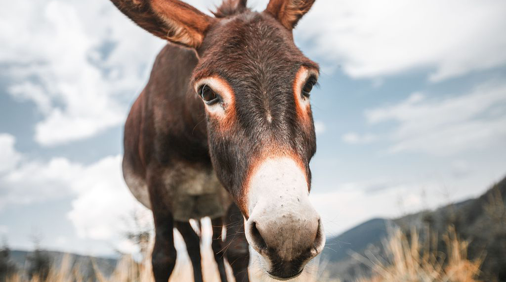 tagreuters.com2018binary_MT1VRTP0JW68F0-FILEDIMAGE