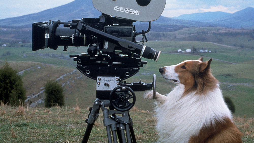 tagreuters.com2018binary_MT1VRTP0JW6BGQ-FILEDIMAGE