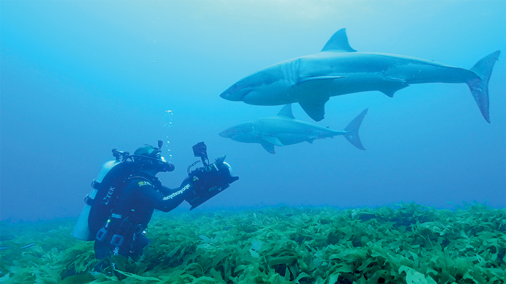 tagreuters.com2018binary_MT1VRTP0JW6S0D-FILEDIMAGE