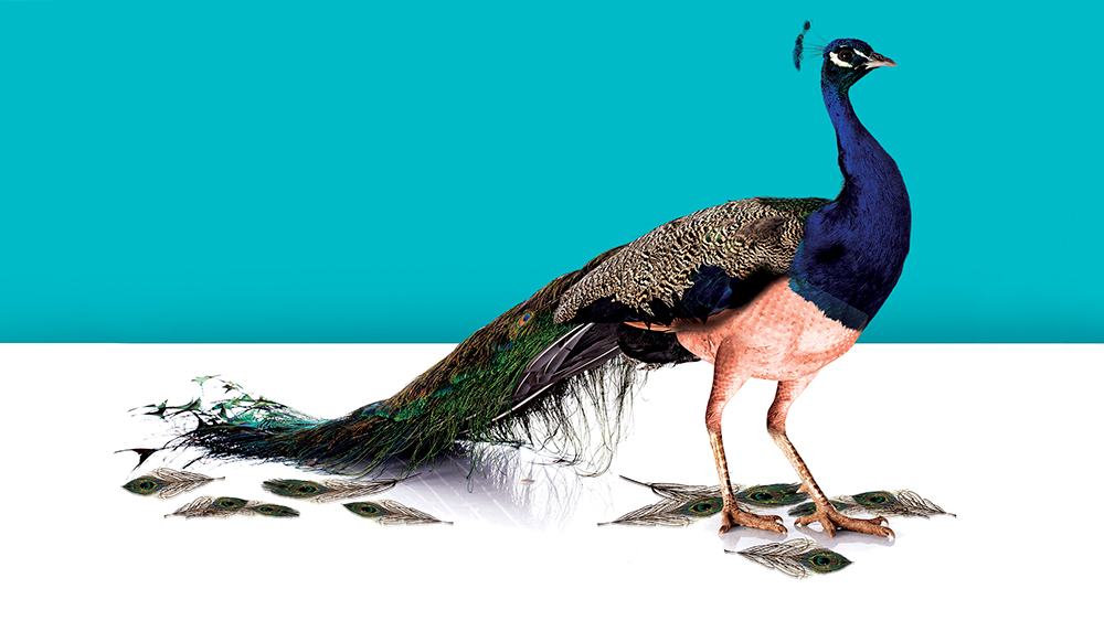 tagreuters.com2018binary_MT1VRTP0JW7IPV-FILEDIMAGE