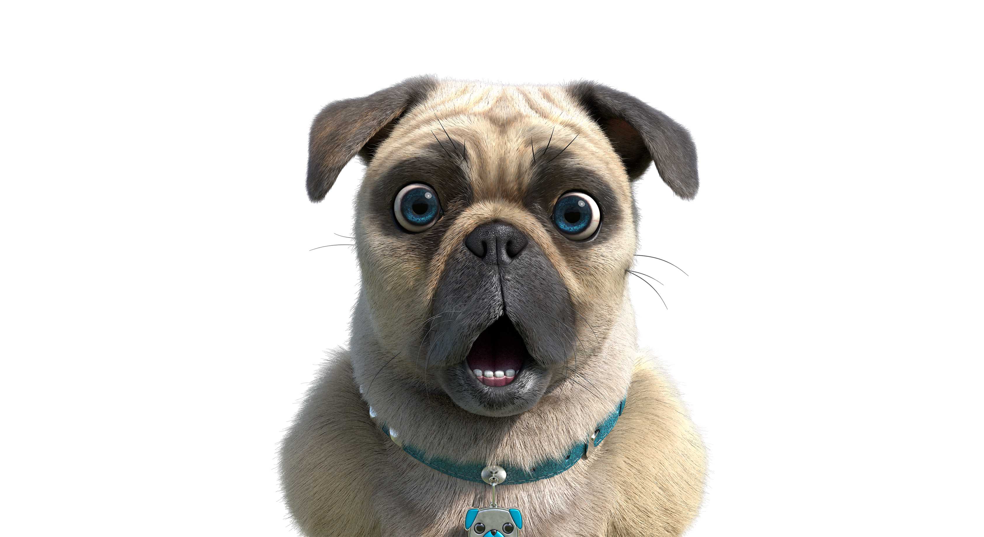 tagreuters.com2018binary_MT1VRTP0JW805B-FILEDIMAGE