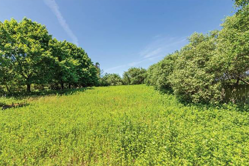 tagreuters.com2018binary_MT1VRTP0JW8S50-BASEIMAGE