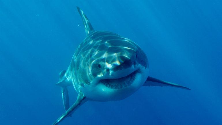 tagreuters.com2019binary_MT1VRTP0JVINAY-FILEDIMAGE