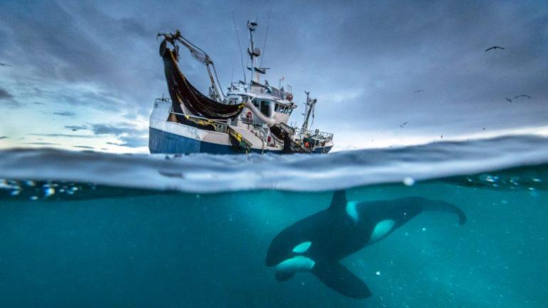 tagreuters.com2019binary_MT1VRTP0JW1EM0-FILEDIMAGE