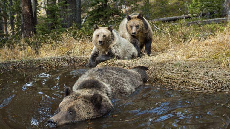 tagreuters.com2019binary_MT1VRTP0JWBB2D-FILEDIMAGE