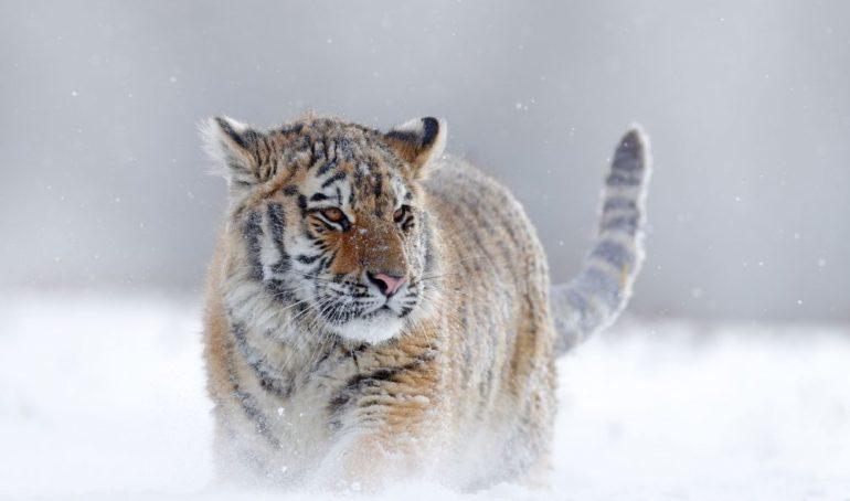 tagreuters.com2019binary_MT1VRTP0JWBBHW-FILEDIMAGE