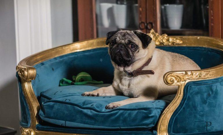 tagreuters.com2019binary_MT1VRTP0JWBFU3-FILEDIMAGE