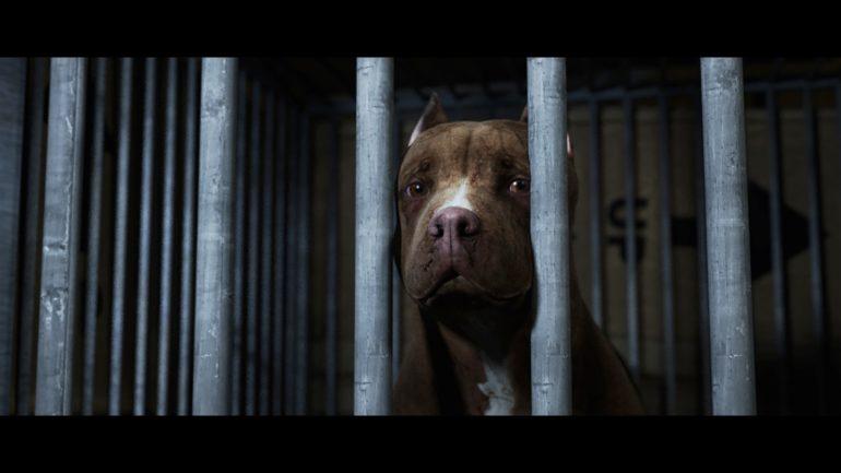 tagreuters.com2019binary_MT1VRTP0JWCBTQ-FILEDIMAGE