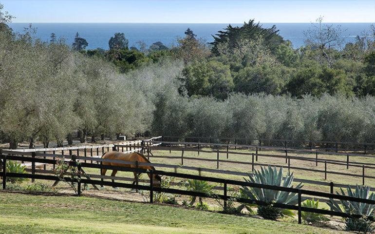 tagreuters.com2019binary_MT1VRTP0JWD5P0-FILEDIMAGE