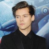 Harry Styles Passes on Prince Eric Role in Live-Action ‘Little Mermaid’