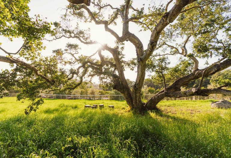 tagreuters.com2019binary_MT1VRTP0JWEAT7-FILEDIMAGE