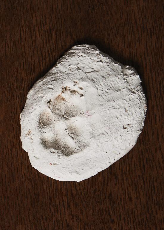 tagreuters.com2019binary_MT1VRTP0JWEURL-FILEDIMAGE