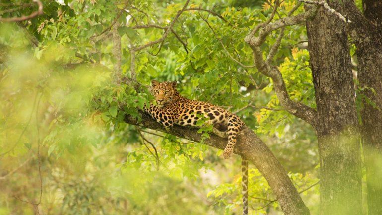 tagreuters.com2019binary_MT1VRTP0JWHJHY-FILEDIMAGE