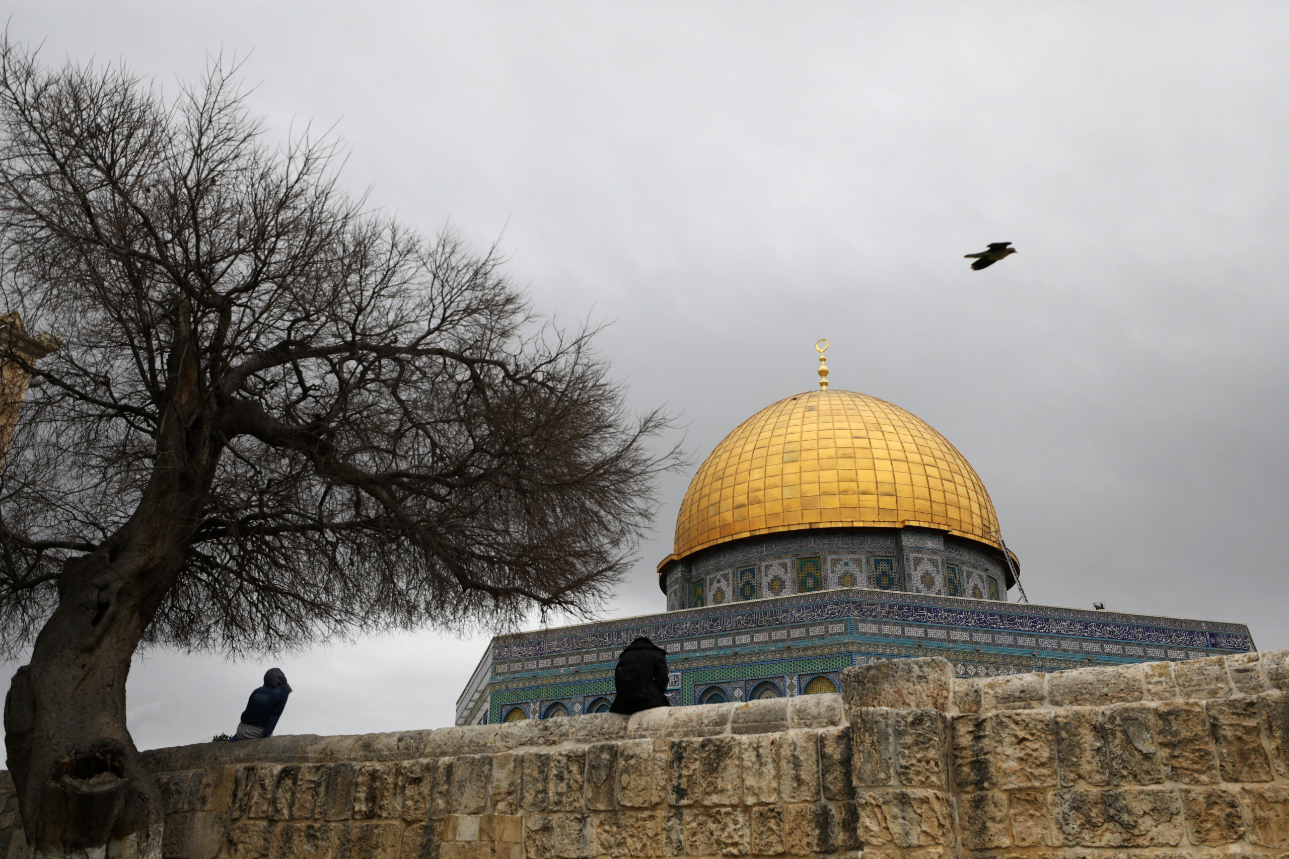 tagreuters.com2020binary_LYNXMPEG2C1MP-FILEDIMAGE