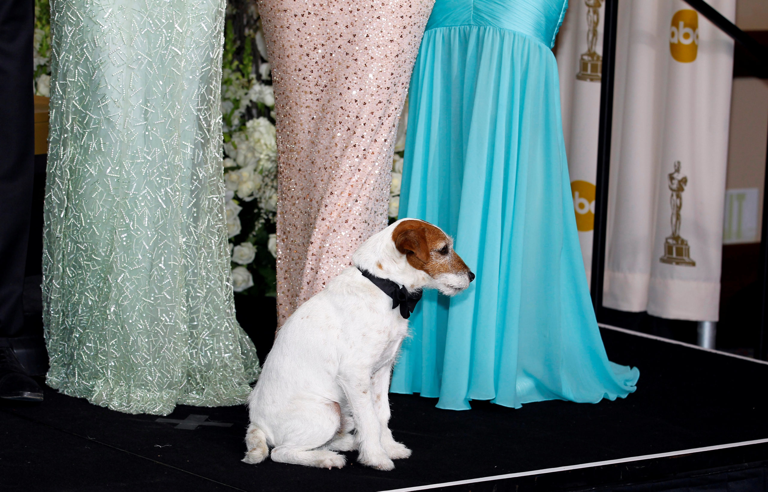 tagreuters.com2020binary_LYNXMPEG4L0X8-FILEDIMAGE