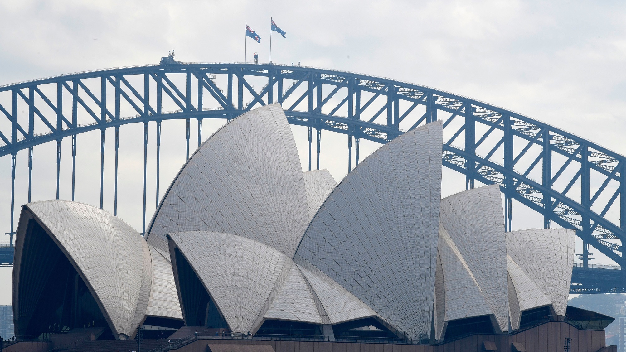 Sydney Film Festival Is Canceled Due to Coronavirus