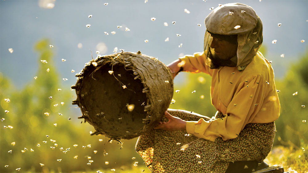 tagreuters.com2020binary_MT1VRTP0JWGWBS-FILEDIMAGE