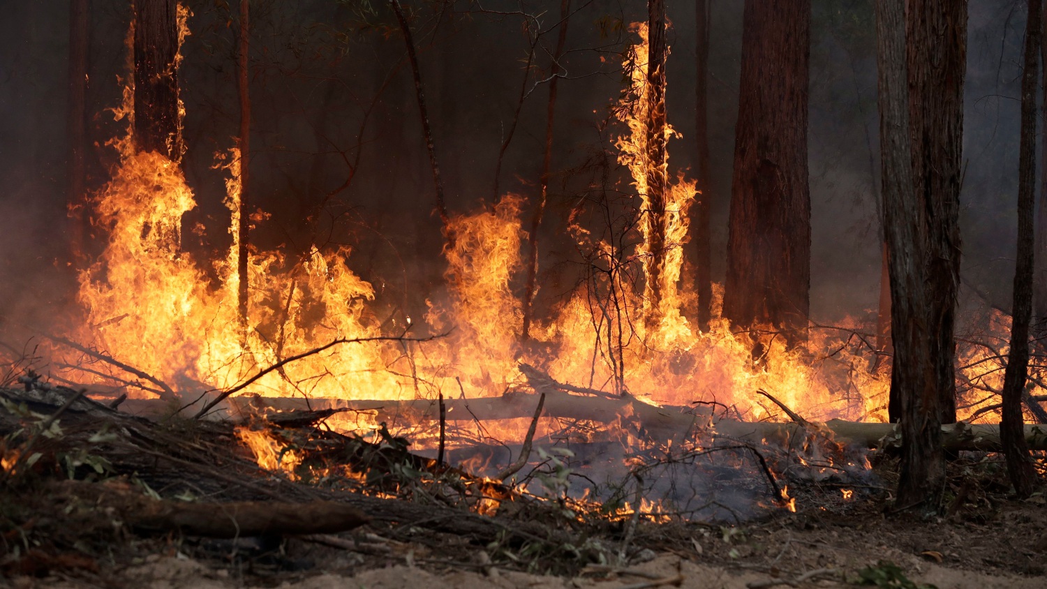 tagreuters.com2020binary_MT1VRTP0JWIFDA-FILEDIMAGE