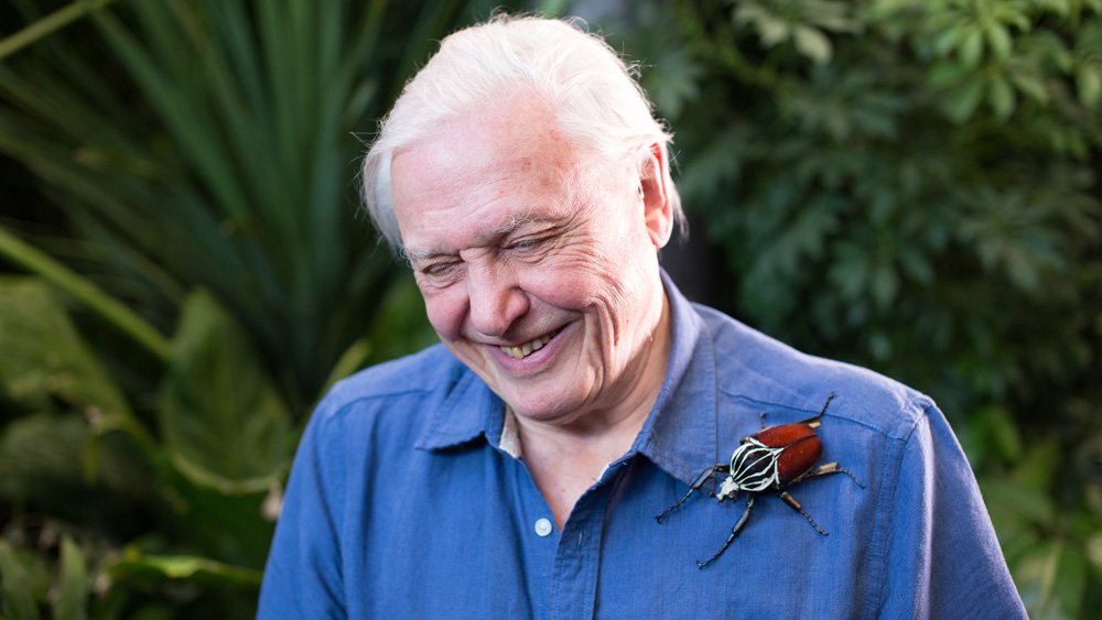 tagreuters.com2020binary_MT1VRTP0JWISJ4-FILEDIMAGE