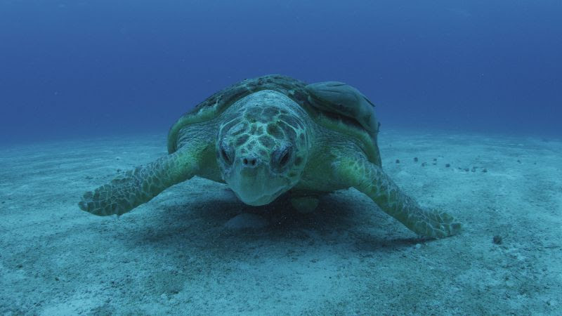 tagreuters.com2020binary_MT1VRTP0JWJ3OK-BASEIMAGE