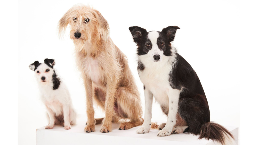 tagreuters.com2020binary_MT1VRTP0JWJ5UY-FILEDIMAGE