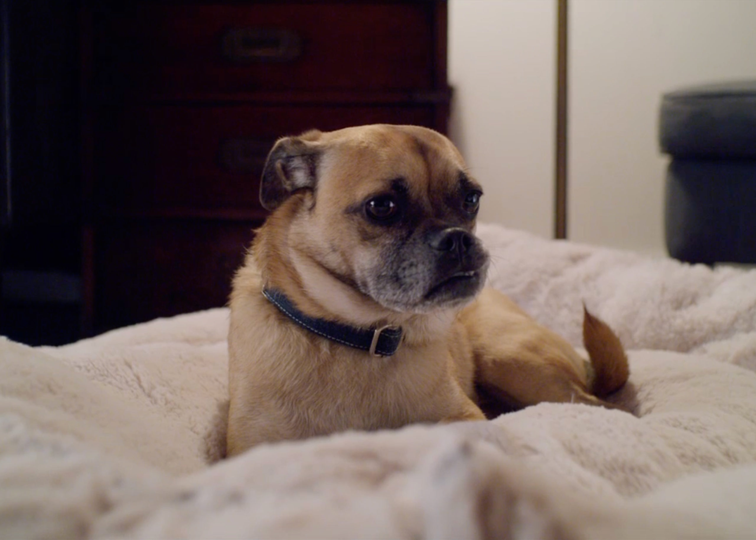 tagreuters.com2020binary_MT1VRTP0JWJ6O1-FILEDIMAGE