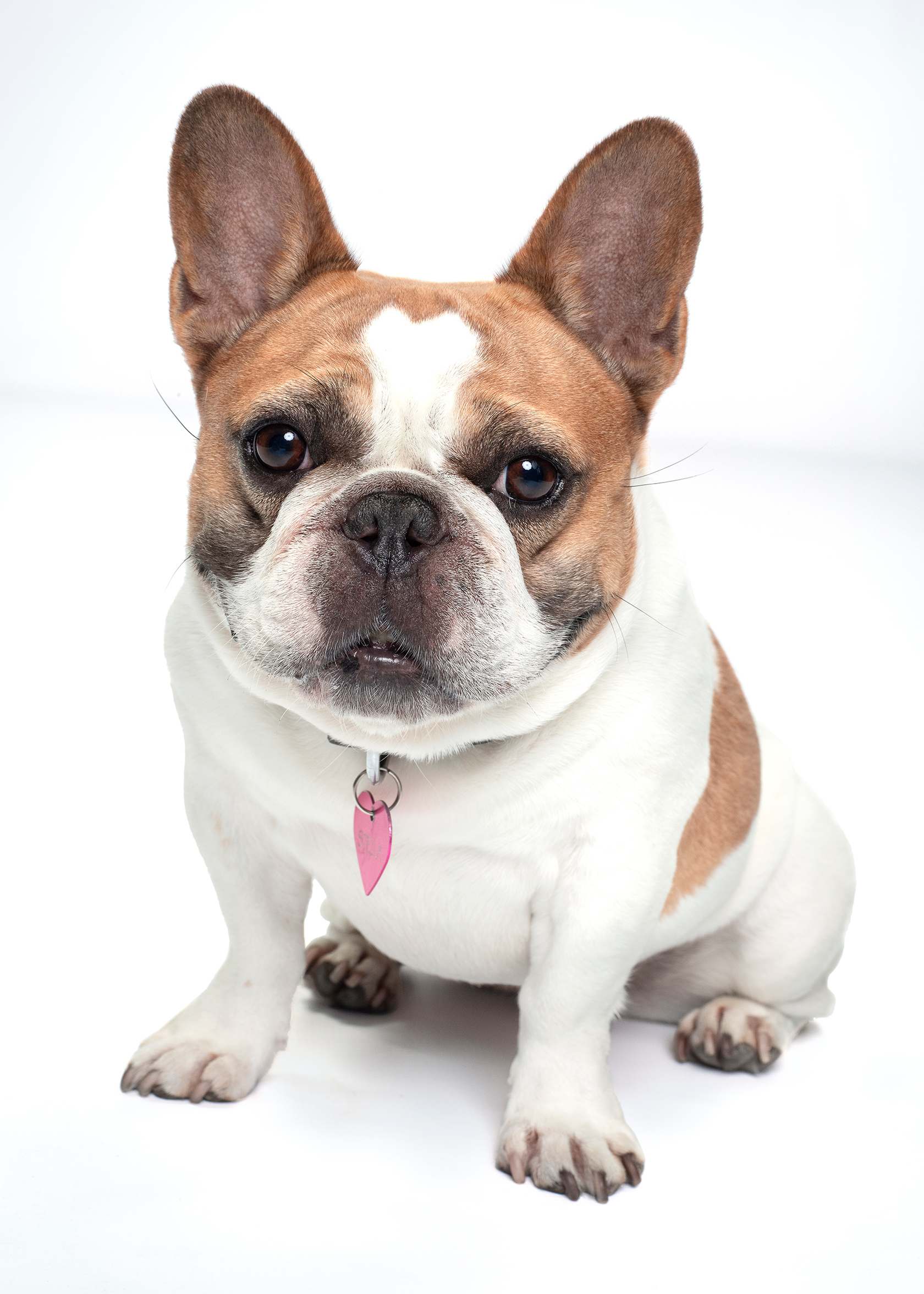 tagreuters.com2020binary_MT1VRTP0JWJ938-FILEDIMAGE