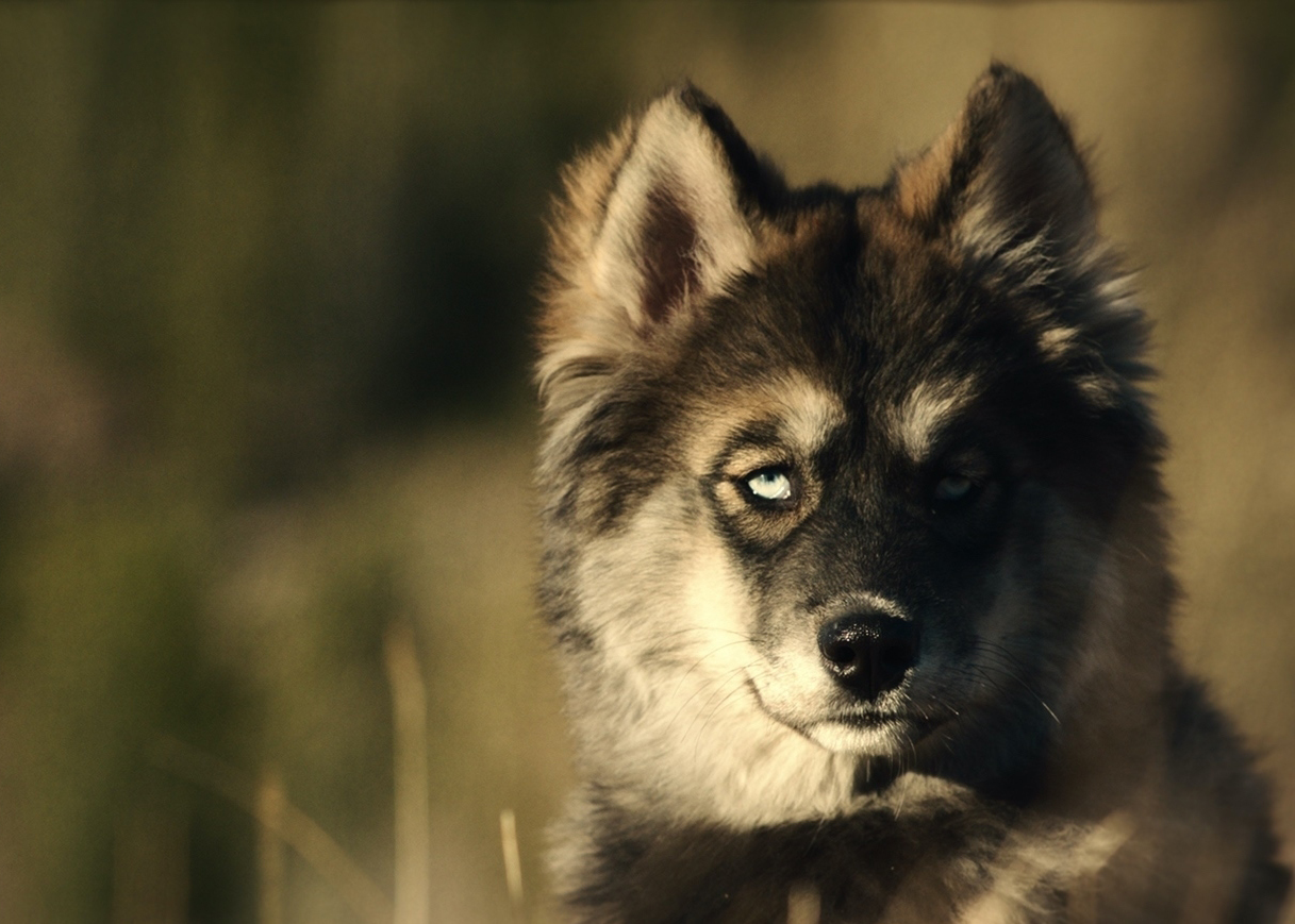 tagreuters.com2020binary_MT1VRTP0JWJ93C-FILEDIMAGE