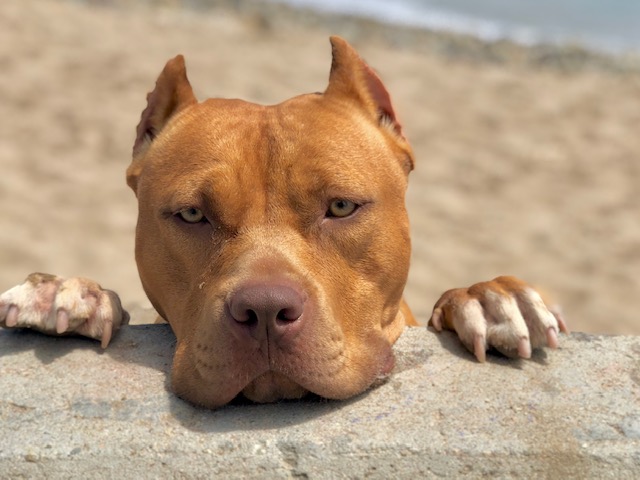 tagreuters.com2020binary_MT1VRTP0JWJBZ6-BASEIMAGE