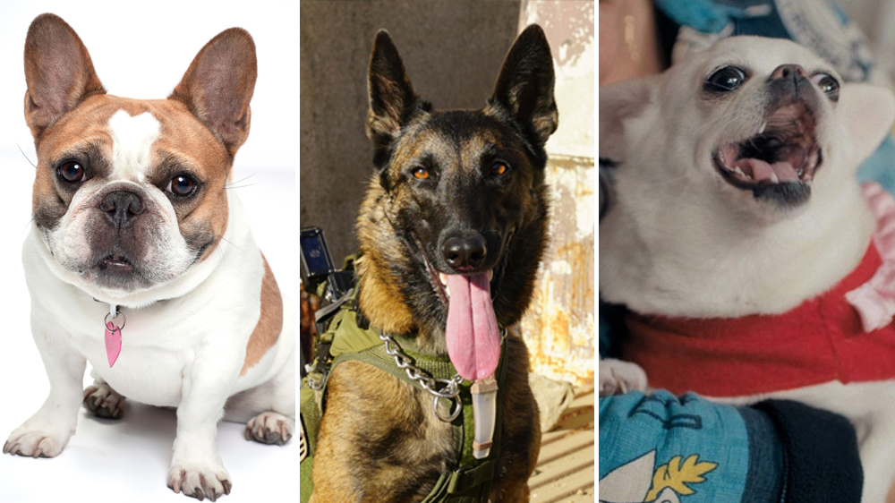 tagreuters.com2020binary_MT1VRTP0JWJGVV-FILEDIMAGE