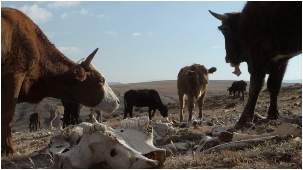 tagreuters.com2020binary_MT1VRTP0JWJPMI-FILEDIMAGE