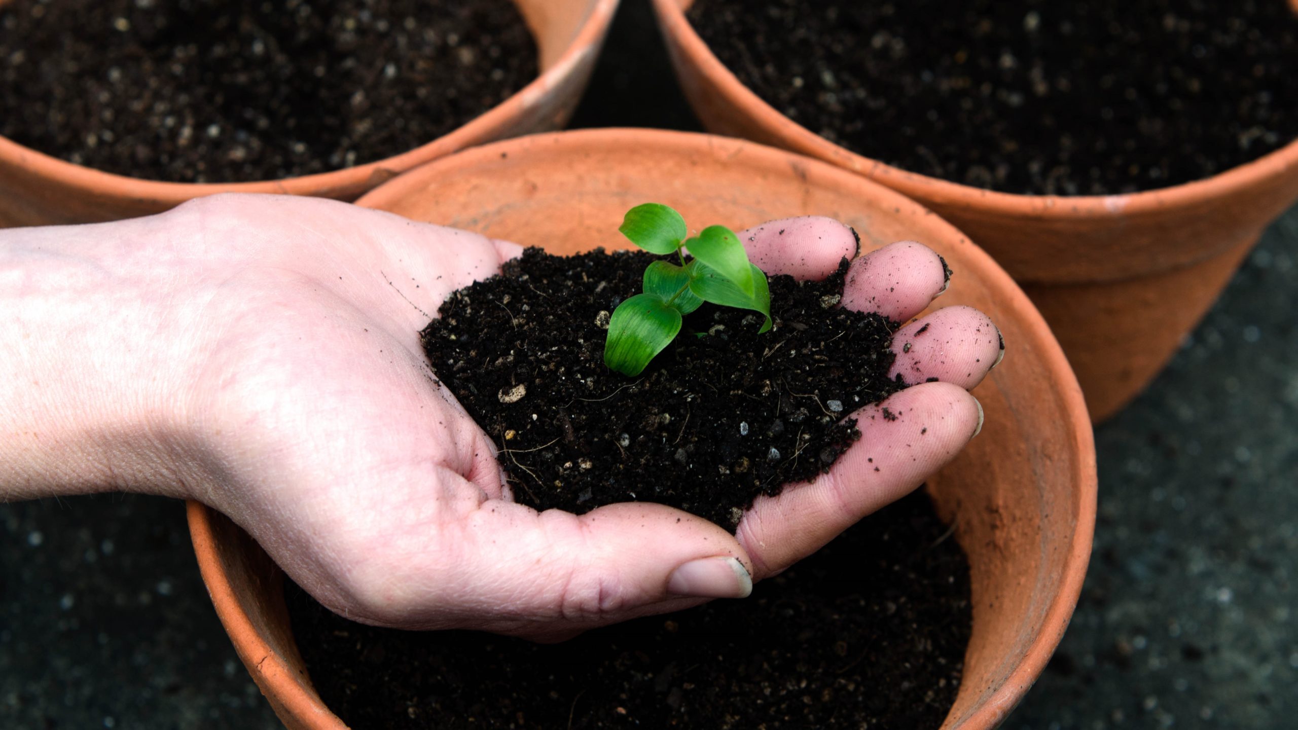 tagreuters.com2020binary_MT1VRTP0KF17Q1-FILEDIMAGE