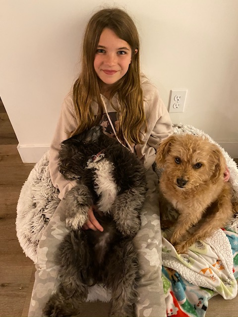 tagreuters.com2020binary_MT1VRTP0KF1AHD-BASEIMAGE