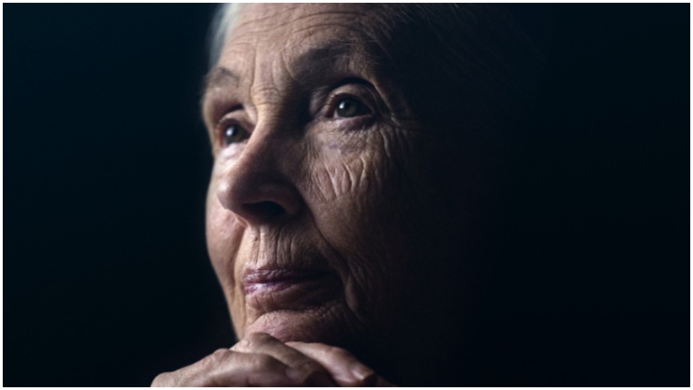 tagreuters.com2020binary_MT1VRTP0KF1I5F-FILEDIMAGE