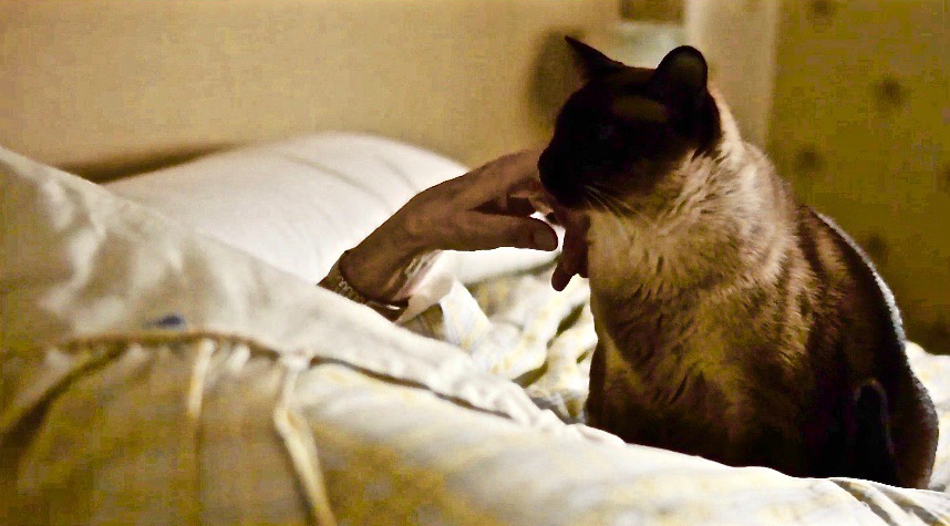 tagreuters.com2020binary_MT1VRTP0KF1P1R-FILEDIMAGE