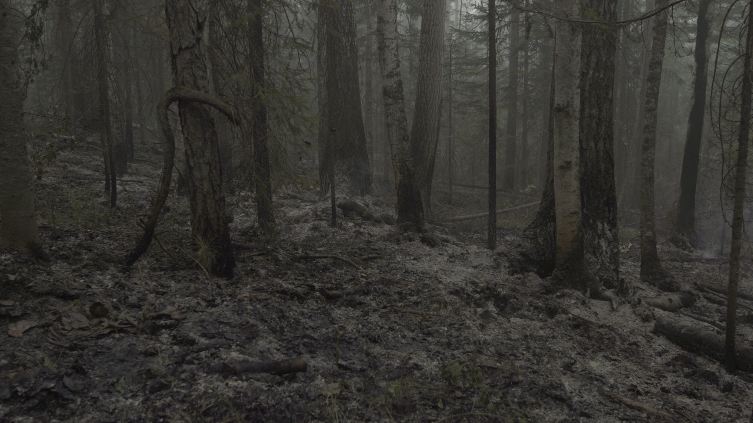 tagreuters.com2020binary_MT1VRTP0KF1P1Z-FILEDIMAGE