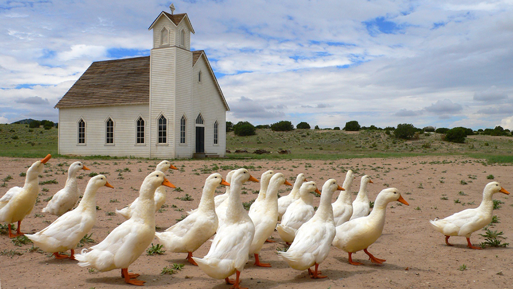 tagreuters.com2020binary_MT1VRTP0KF1WA0-FILEDIMAGE