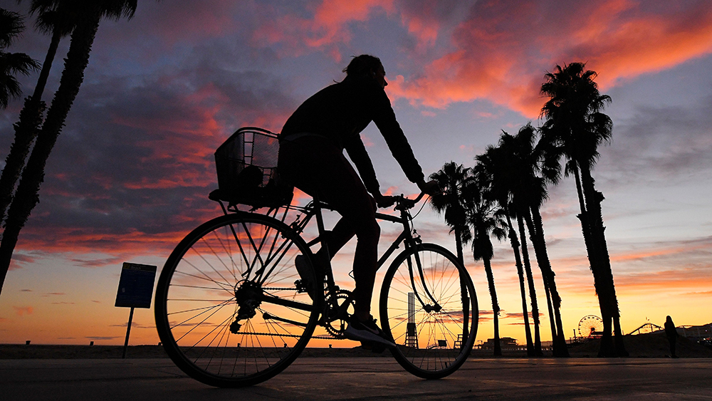 tagreuters.com2020binary_MT1VRTP0KF22UG-FILEDIMAGE